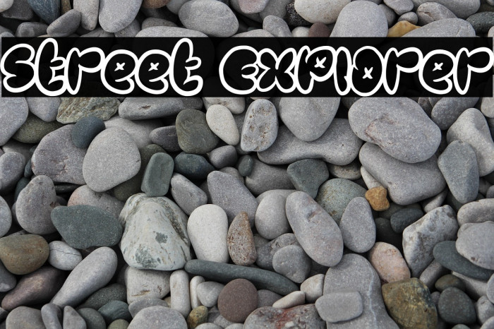 Street Explorer Example 3