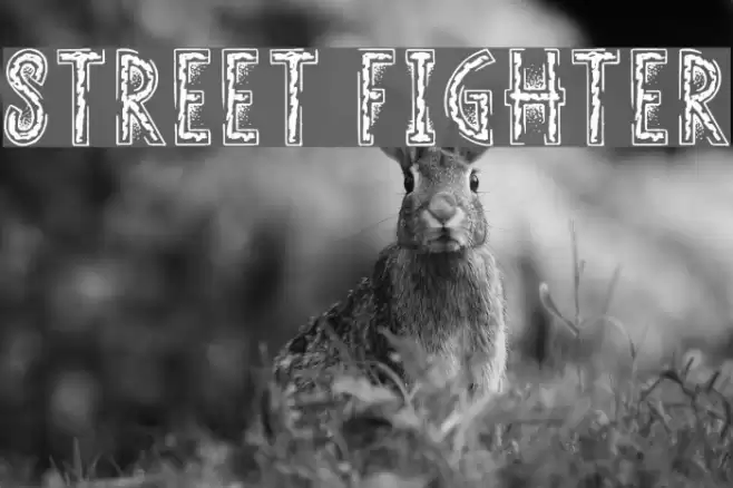 Street Fighter Font examples