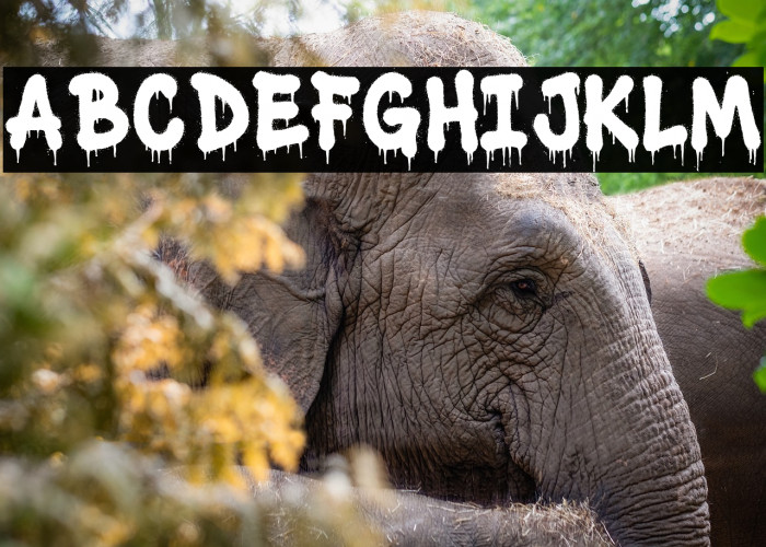 Street Flow NYC Example 3