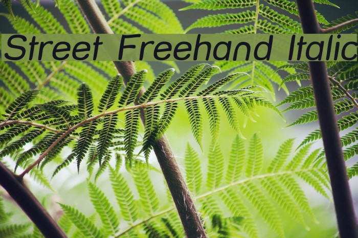 Street Freehand Italic Font examples
