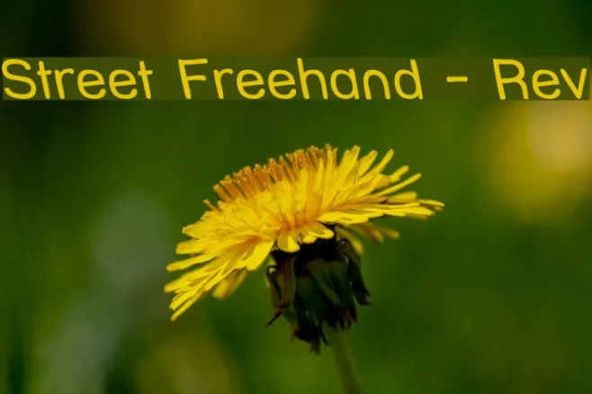 Street Freehand - Rev Example 2