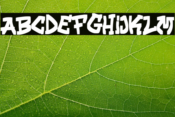 Street Hawk Regular Example 2