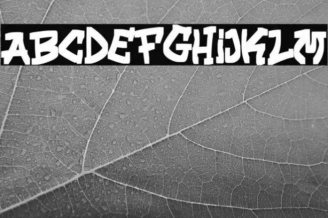 Street Hawk Regular Fonte examples