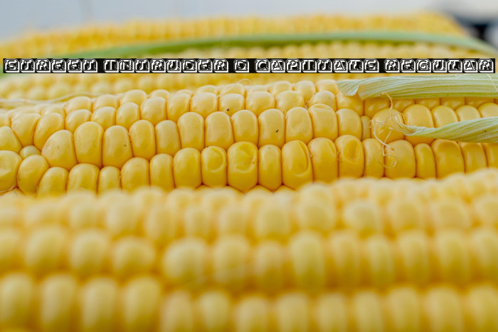 Street Intruder 3D Capitals Regular Example 1