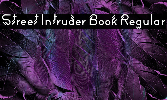 Street Intruder Book Regular Example 1