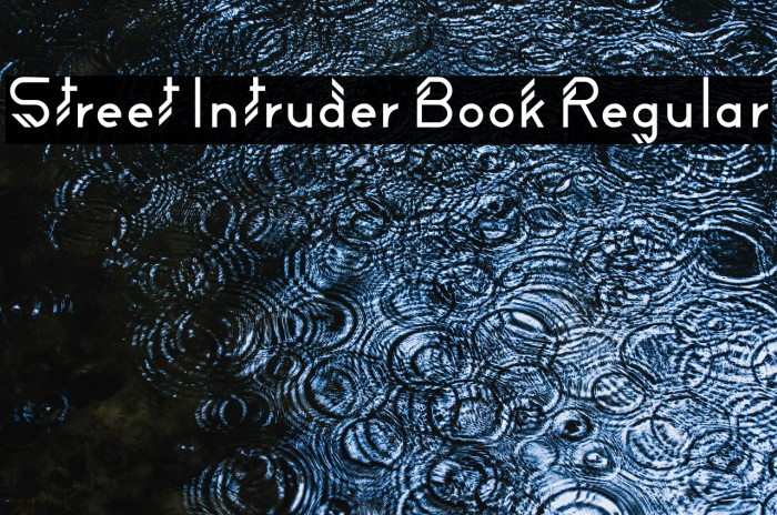 Street Intruder Book Regular Example 2