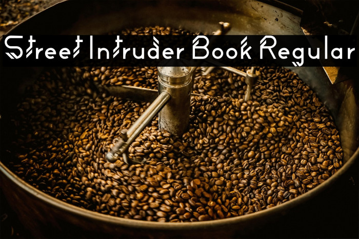 Street Intruder Book Regular Example 3