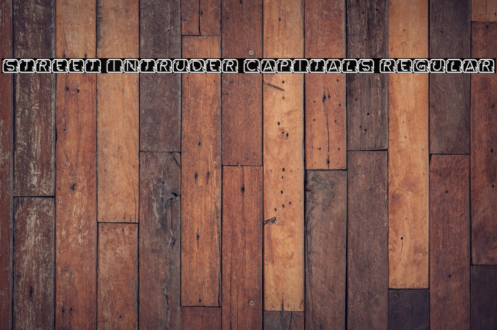 Street Intruder Capitals Regular Example 2