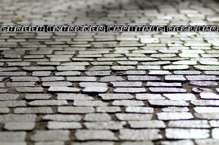 Street Intruder Capitals Regular Example 3