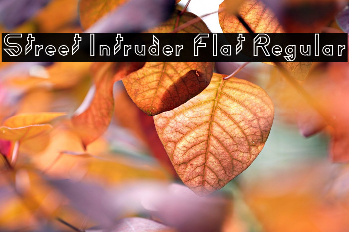 Street Intruder Flat Regular Example 1