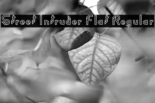 Street Intruder Flat Regular Font examples