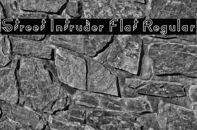 Street Intruder Flat Regular Font examples