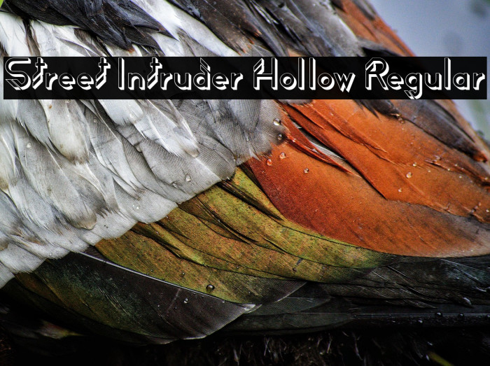 Street Intruder Hollow Regular Example 2