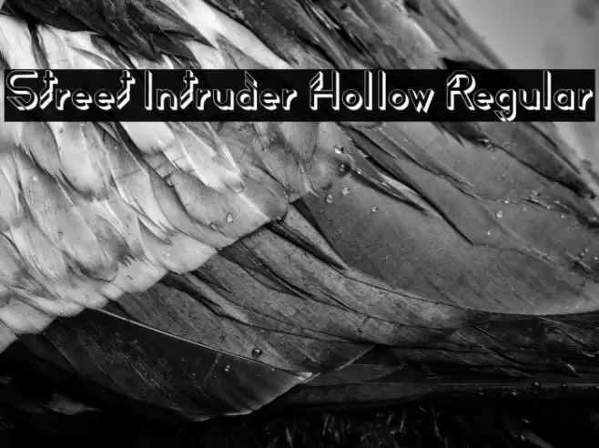 Street Intruder Hollow Regular Font examples