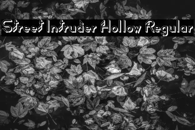 Street Intruder Hollow Regular Font examples