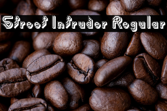 Street Intruder Regular Example 2