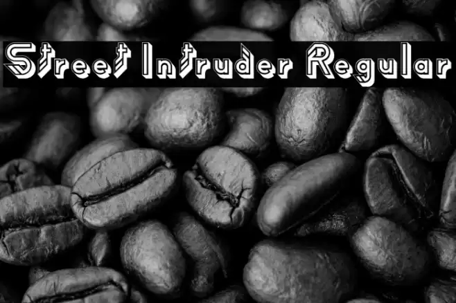Street Intruder Regular Font examples