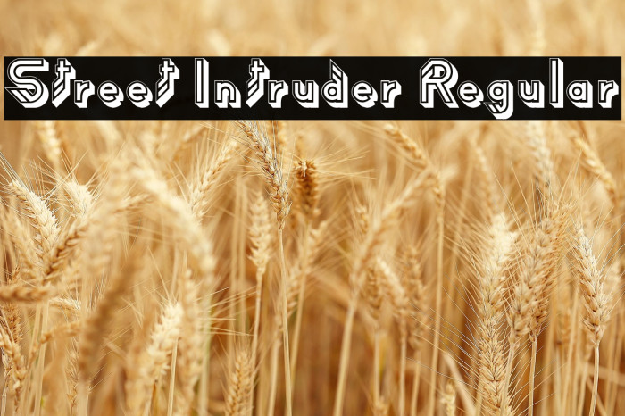 Street Intruder Regular Example 3