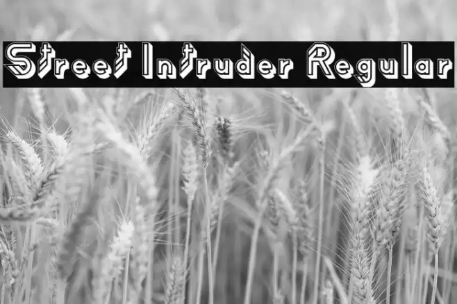 Street Intruder Regular Font examples