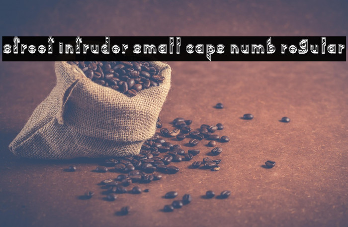 Street Intruder Small Caps Numb Regular Example 1