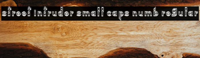 Street Intruder Small Caps Numb Regular Example 3