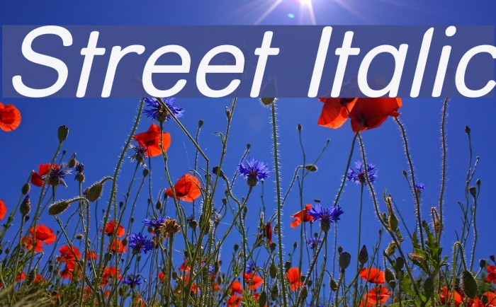 Street Italic Font examples