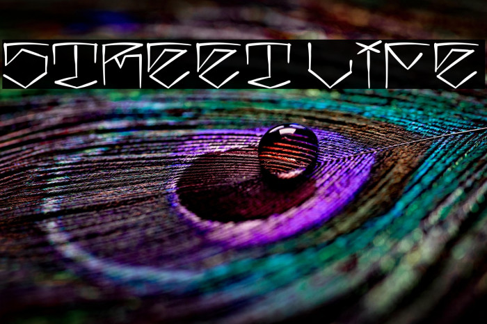 Street Life Example 2