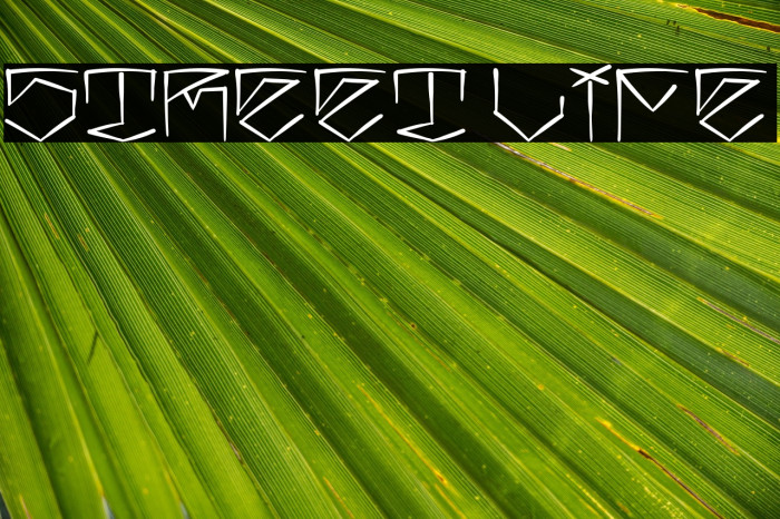 Street Life Example 3