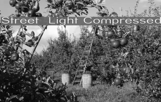 Street Light Compressed Font examples