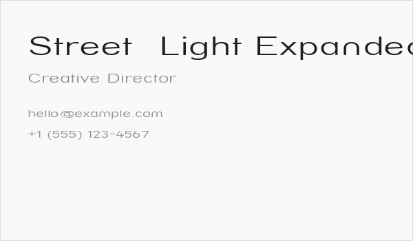 Street  Light Expanded Business Card