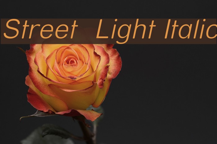 Street Light Italic Font examples