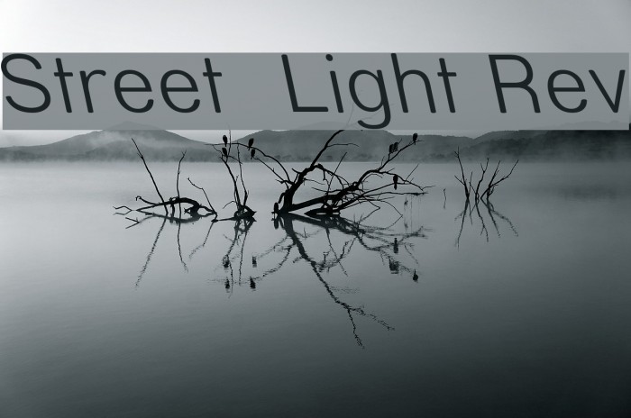 Street Light Rev Font examples