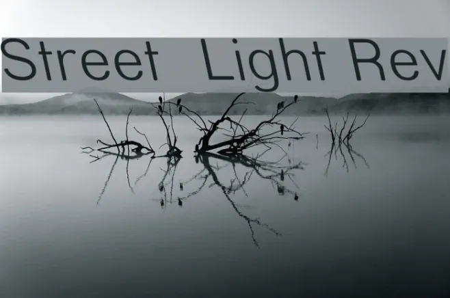 Street  Light Rev Example 2