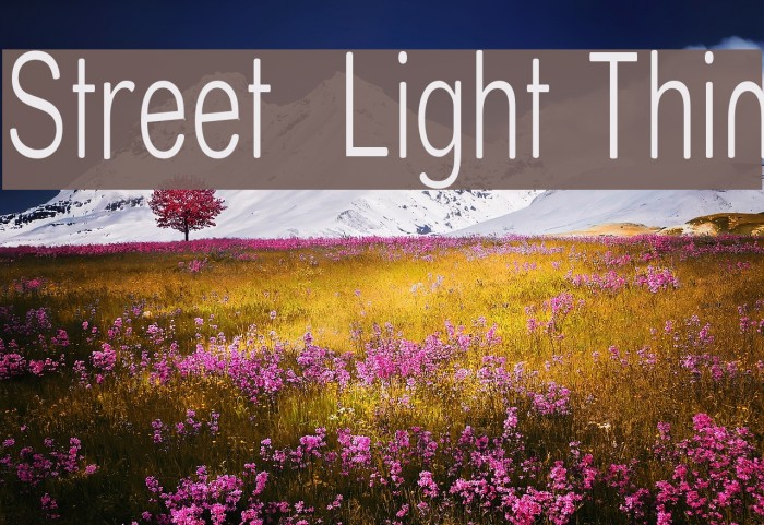 Street Light Thin Font examples
