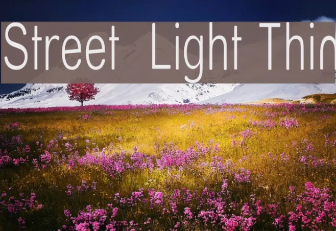 Street  Light Thin Example 2