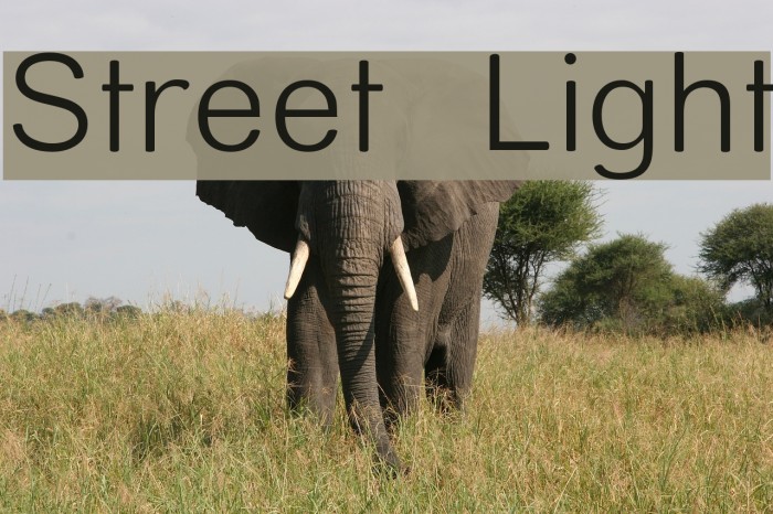 Street Light Font examples