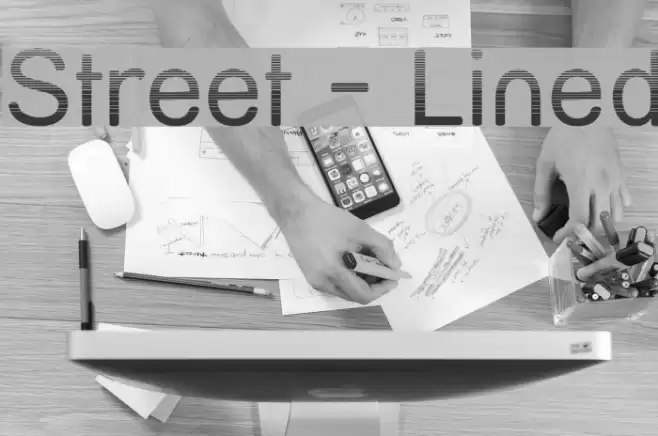 Street - Lined Polices examples