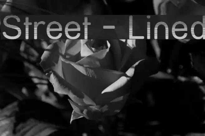 Street - Lined Polices examples