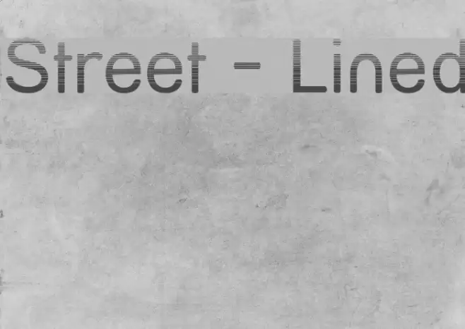 Street - Lined Polices examples