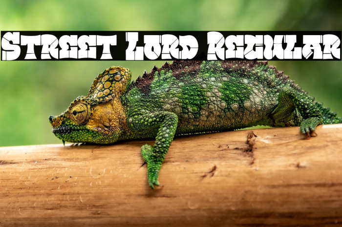 Street Lord Regular Example 1