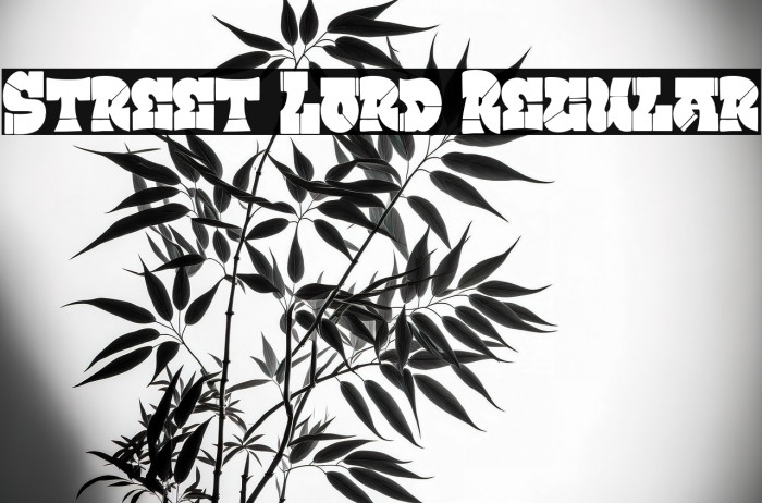 Street Lord Regular Example 2