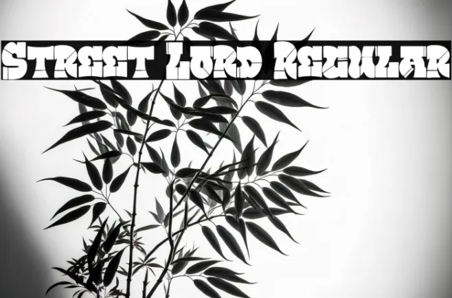 Street Lord Regular Example 2