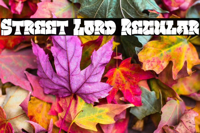 Street Lord Regular Example 3