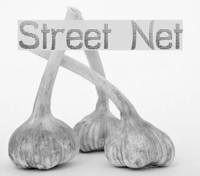 Street Net Schriftart examples