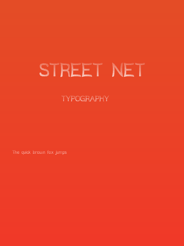 Street Net Poster