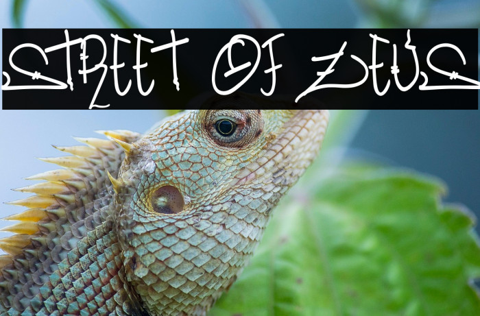 Street Of Zeus Example 1