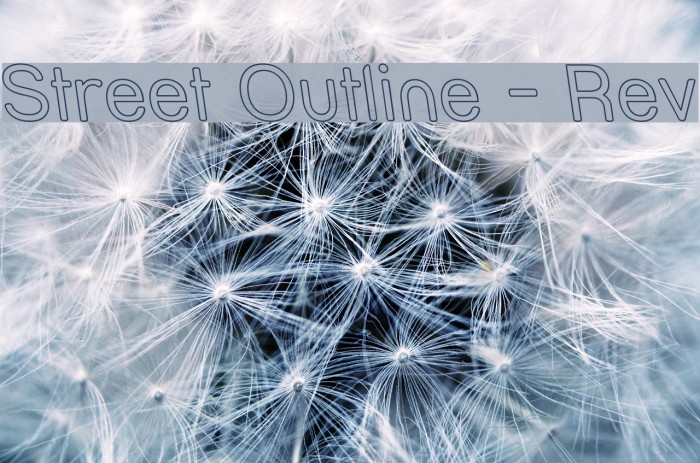 Street Outline - Rev Font examples