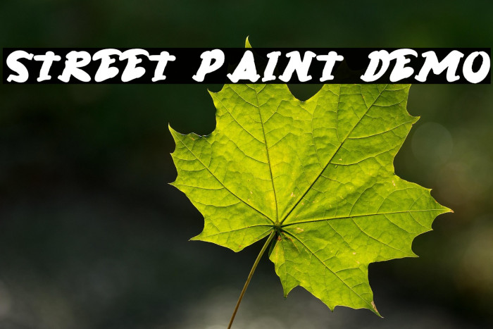 Street Paint Demo Example 1