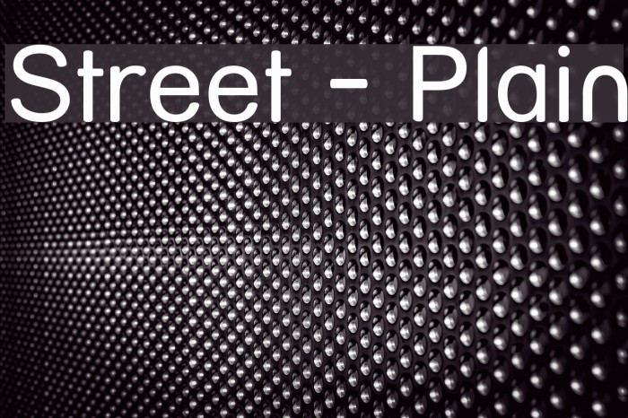 Street - Plain Font examples