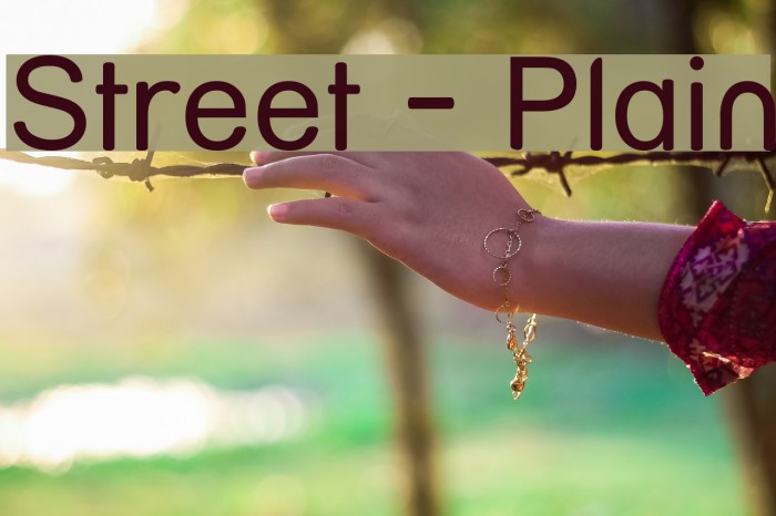 Street - Plain Font examples